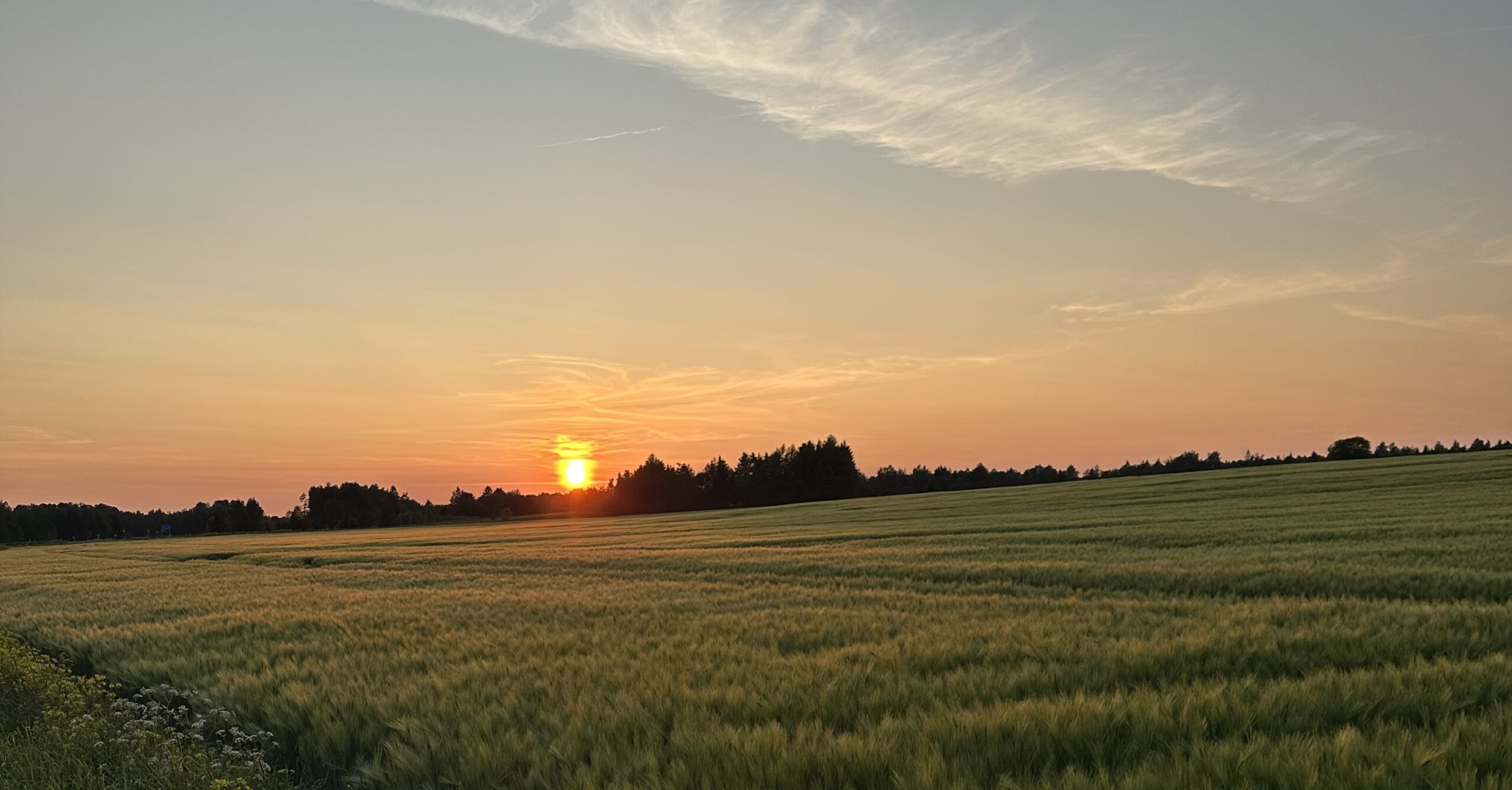 Loodus _ Siiri Puttonen